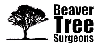 Beaver Tree Surgeons