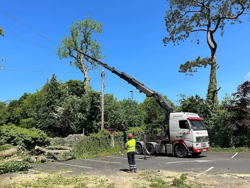 Removal of large ash tree with crane in bentham north yorkshire